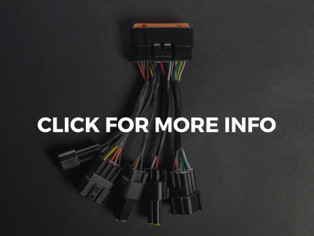 Replacement Wiring Loom For SurRon Light Bee