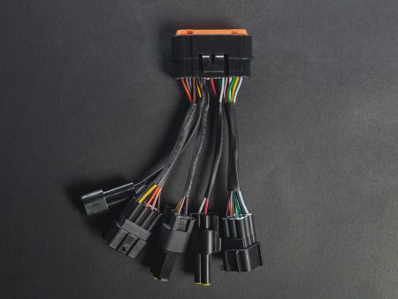 TORP LIGHT BEE WIRING