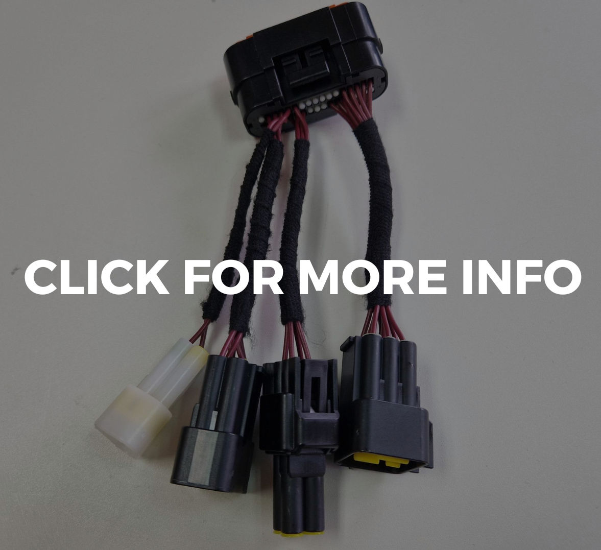 Replacement Wiring Loom TORP