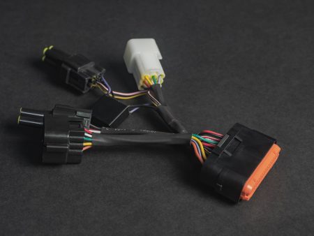 TORP TALARIA MX3-MX4-MX5 WIRING HARNESS (1)