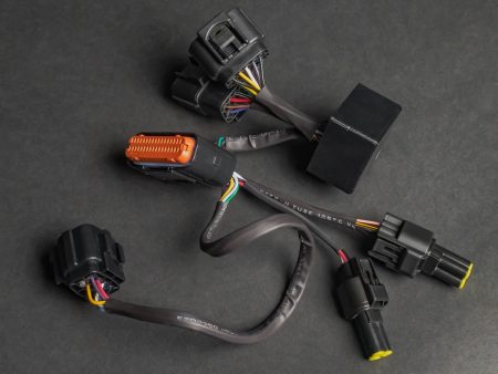 TORP ULTRA BEE WIRING HARNESS